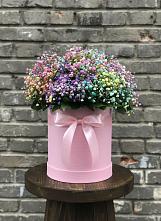Цветочная композиция из Гипсофила и Розы в шляпной коробке #REPLACE_PRED# Оленегорске