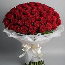 Букет 101 Красная роза Блэк Мэджик в Оленегорске