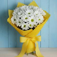 Букет цветов из:  Хризантемы #REPLACE_PRED# Оленегорске