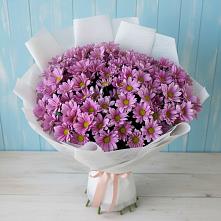 Букет цветов из:  Хризантемы в Оленегорске