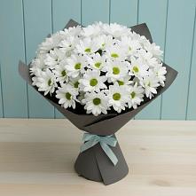 Букет цветов из:  Хризантемы в Оленегорске