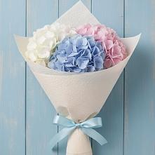 Букет цветов из:  Гортензия #REPLACE_PRED# Оленегорске