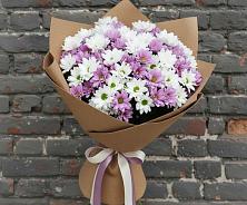 Букет цветов из:  Хризантемы #REPLACE_PRED# Оленегорске