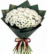 Букет цветов из:  Хризантемы в Оленегорске