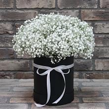 Цветочная композиция из Гипсофила в шляпной коробке в Оленегорске