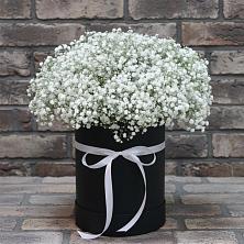 Цветочная композиция из Гипсофила в шляпной коробке в Оленегорске
